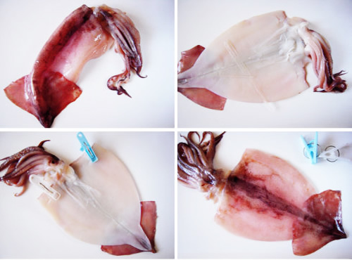 ��2��������˿�ļҳ�����ͼƬ����