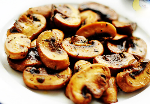 ���Ϳ�Ģ������