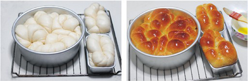 ��6����ʽ����ļҳ�����ͼƬ����