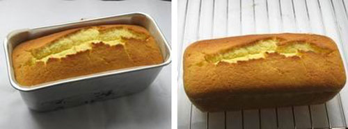 ��12�������������͵���ļҳ�����ͼƬ����