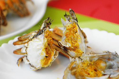 ��6��������բз�ļҳ�����ͼƬ����