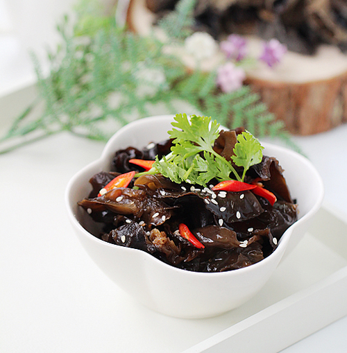 ����ľ��������