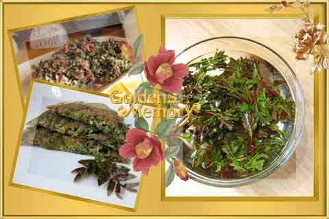 ��7������Ҷ��N�ֳԷ��ļҳ�����ͼƬ����