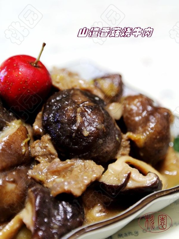 ɽ���ţ�������