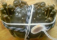 ���껨��h��բз������ͼƬ����2