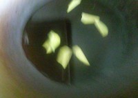 ���껨��h��բз������ͼƬ����4