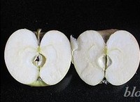 ��ˮ��଼�������ͼƬ����2