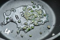 �Ǵ���������������ͼƬ����12