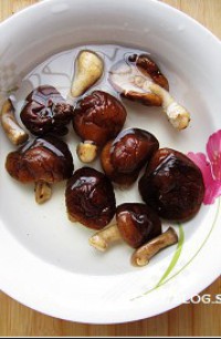 �㹽���������ͼƬ����2