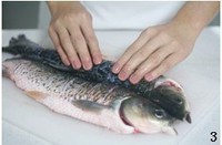 ��֭���������ͼƬ����3