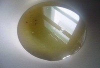 �����������ͼƬ����8