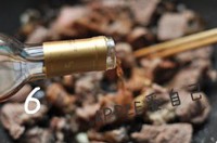 ơ����ţ�������ͼƬ����11