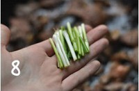 ơ����ţ�������ͼƬ����13