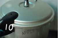 ơ����ţ�������ͼƬ����15