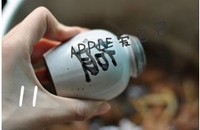 ơ����ţ�������ͼƬ����16