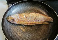 ���Ѻ�ɼ�������ͼƬ����6