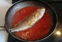 ���Ѻ�ɼ�������ͼƬ����11