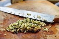 �Ե��㿾С���ŵ�����ͼƬ����3