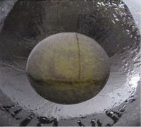 ����Ģ�����Źǵ�����ͼƬ����4