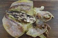 ɰ��ī��ɼ���������ͼƬ����1