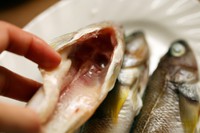 �����ϼ����������ͼƬ����1