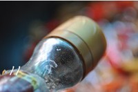 ����Ģ��ţ�������ͼƬ����11