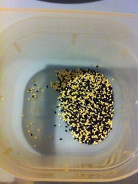 �ڰ�֥������㣬���ǻ�����ζ�ὴ֭������ͼƬ����12