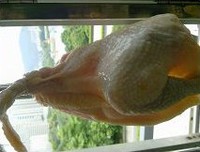 �Οh��������ͼƬ����7