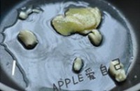 ��֭�Źǵ�����ͼƬ����1