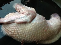 ��ն�������ͼƬ����1