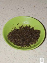 ������������ͼƬ����6