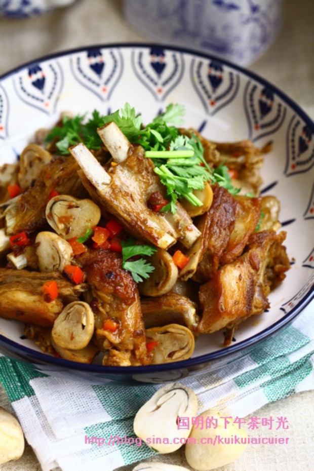 ��ץ��Ȼ���ŵ�����