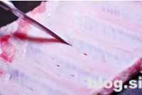 ��֭�����Źǵ�����ͼƬ����1