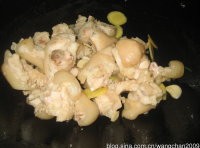 ơ�����ŵ�����ͼƬ����7