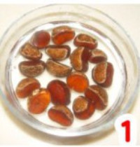 ��÷���Ӽ�������ͼƬ����1