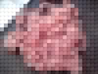 ��ֽţ�������ͼƬ����1