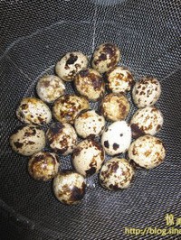 ���ȵ����Źǵ�����ͼƬ����1