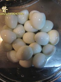 ���ȵ����Źǵ�����ͼƬ����3