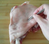 ����ƤѬ���ӵ�����ͼƬ����3