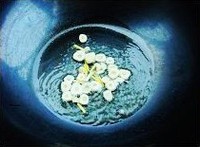 ˬ�ڶ罷�廨�⳴����«������ͼƬ����4