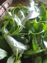 �峴���Ĳˣ����ٲˣ�������ͼƬ����1