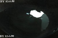 ������˵�����ͼƬ����4