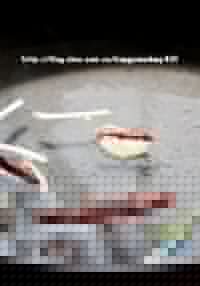 ������糴��˿������ͼƬ����1