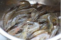 �ɹ�����Ϻ������ͼƬ����1