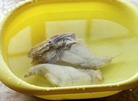 ����պˮ�õ�����ͼƬ����4