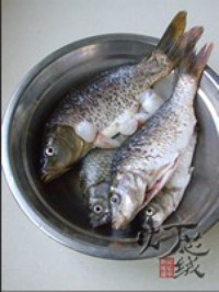 �������������ͼƬ����1