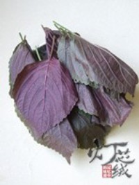 �������������ͼƬ����2