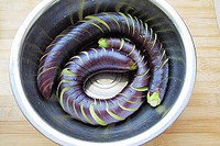 �������ӵ�����ͼƬ����3