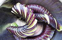 �������ӵ�����ͼƬ����8