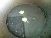 һƷ��ţ�����ҵ�����ͼƬ����10